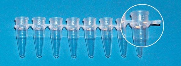 BrandTech Scientific PCR Strip Tubes, 8-Strip