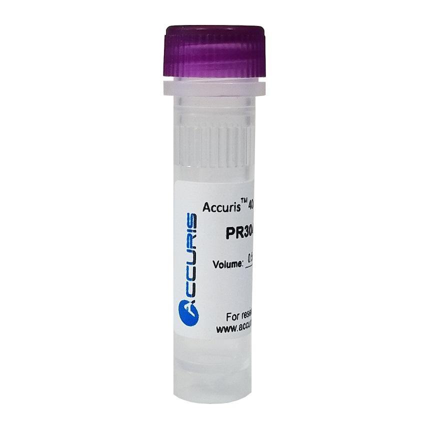 Accuris PR3040-M-1 40mM dNTP Mix (10mM/20µmol each), 0.5ml